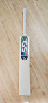 GS South African Premier Indoor Cricket Bat | SH