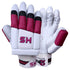 HS Bating Gloves | 2 Star | Left Hand