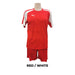 Puma Dominate | Soccer Kit | Set of 14 | Red / White
