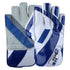 HS Wicket Keeper Gloves 3 Star