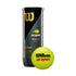Wilson Official US Open Extra Duty 3 Tennis Balls
