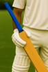 HS Batting Grips | Regular | Blue