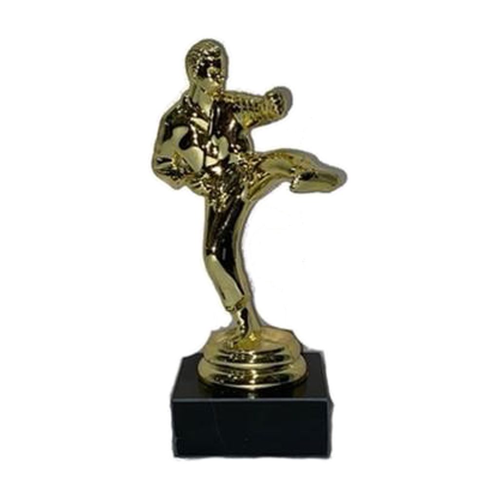Trophy | 17cm | Karate