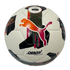 Puma Orbita 5 | FIFA Quality | Hardground Football