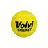 HS Soft Cricket Ball | Volvi