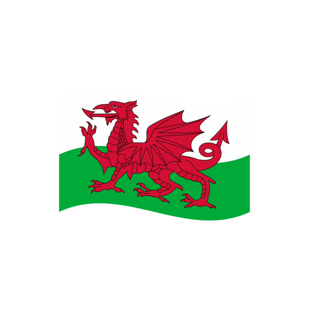 Grip Bunting Flag | Wales