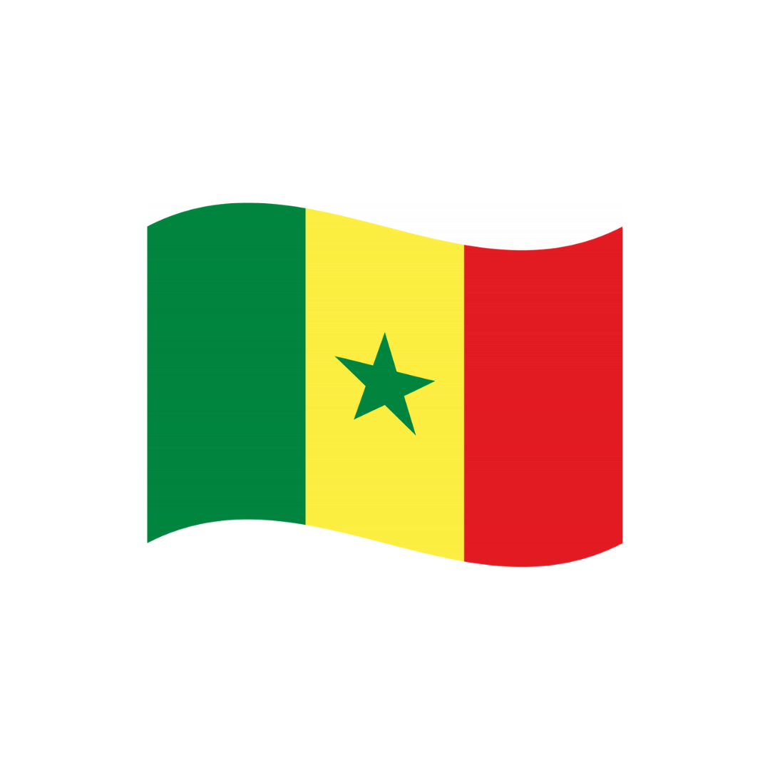 Grip Bunting Flag | Senegal