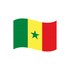 Grip Bunting Flag | Senegal