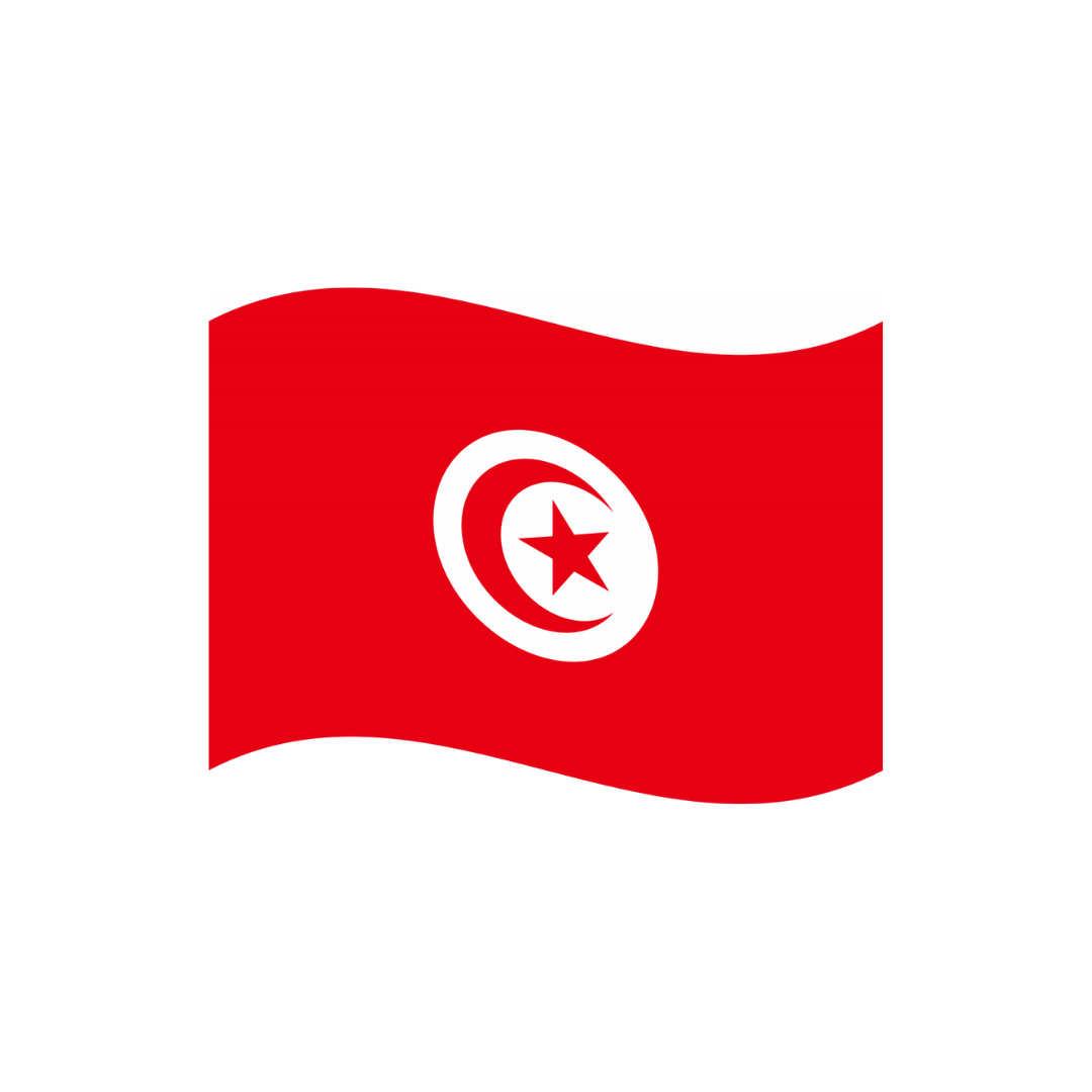 Grip Bunting Flag | Tunisia