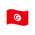 Grip Bunting Flag | Tunisia