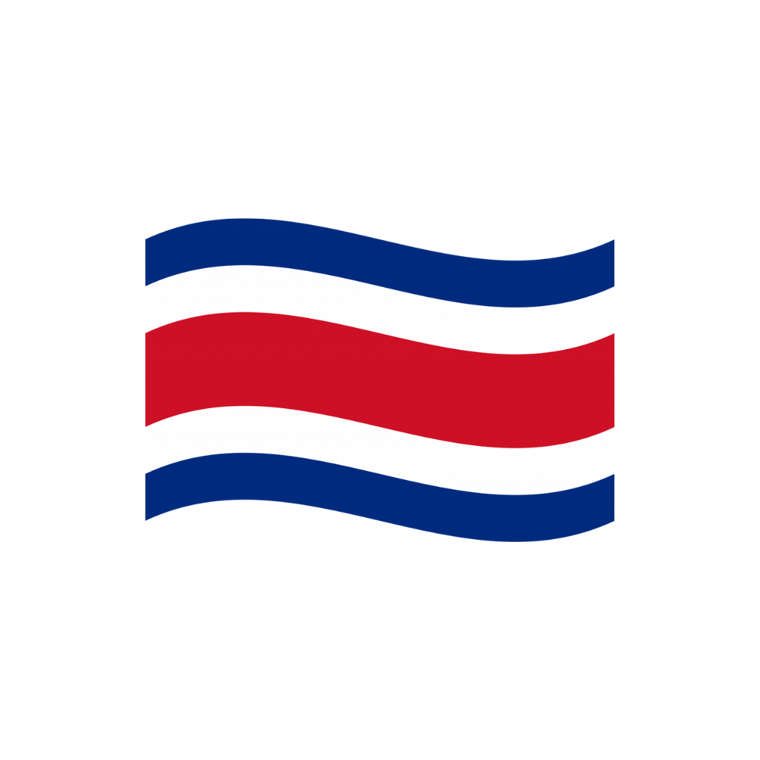 Grip Bunting Flag | Costa Rica